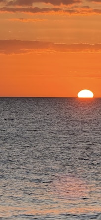 Dolphins at Sunset Beach, a short golf cart ride from the house.