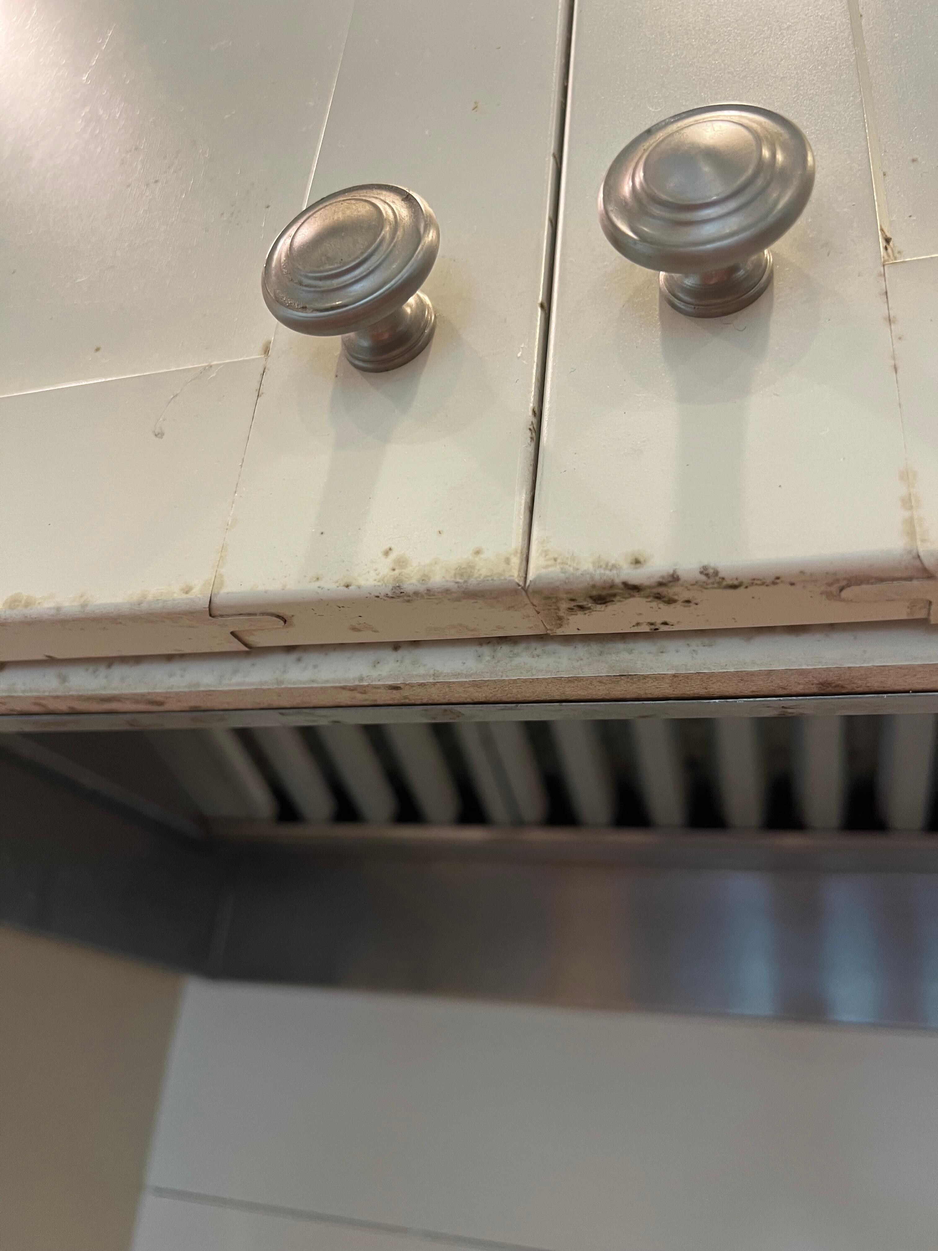 Mold 