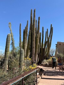 PHOENIX BOTANICAL GARDENS