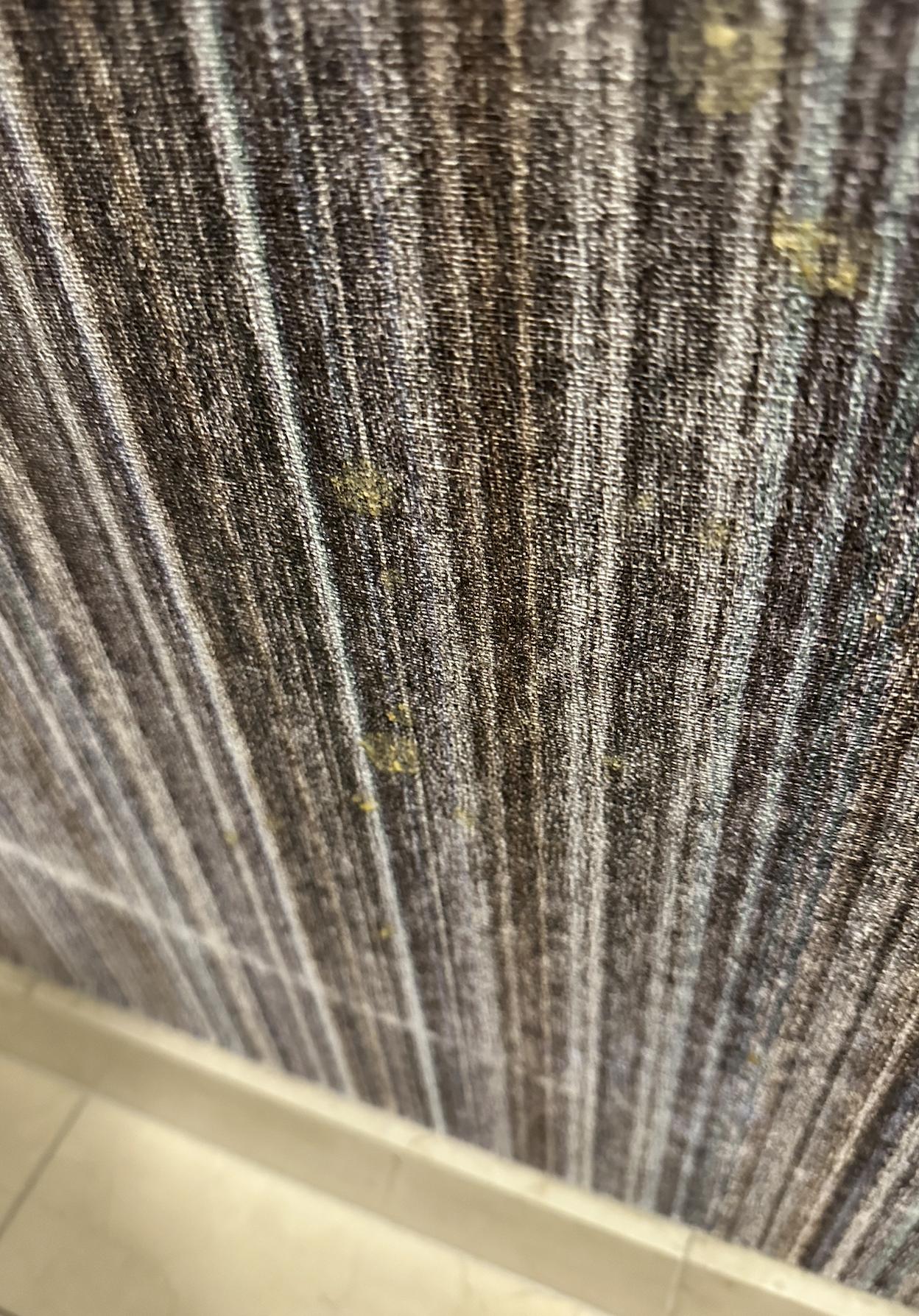 PUKE! Argh all over the wall in the bathroom of the suite! 
