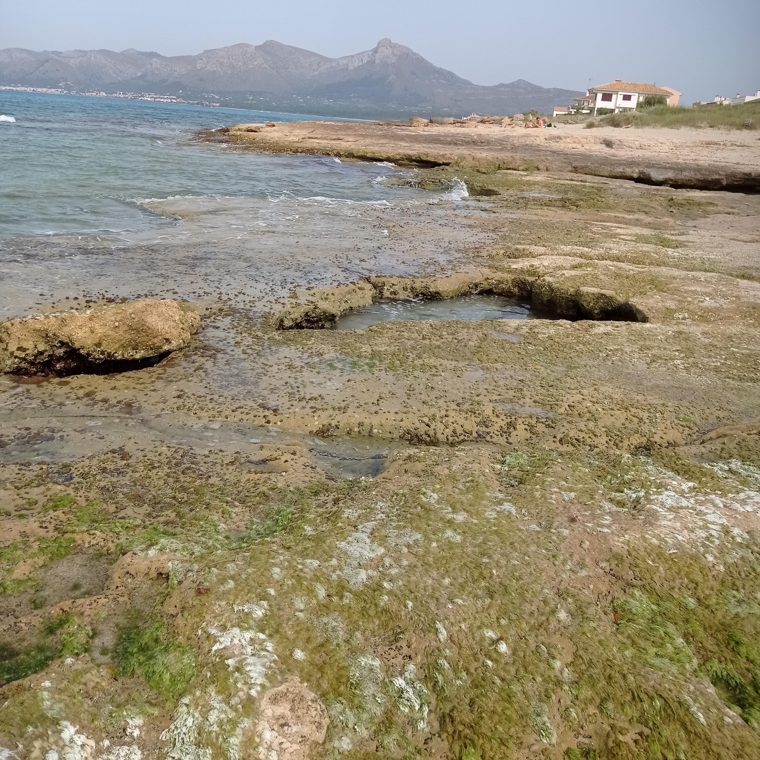 Une plage sauvage merveilleuse 