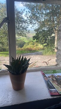 Window view