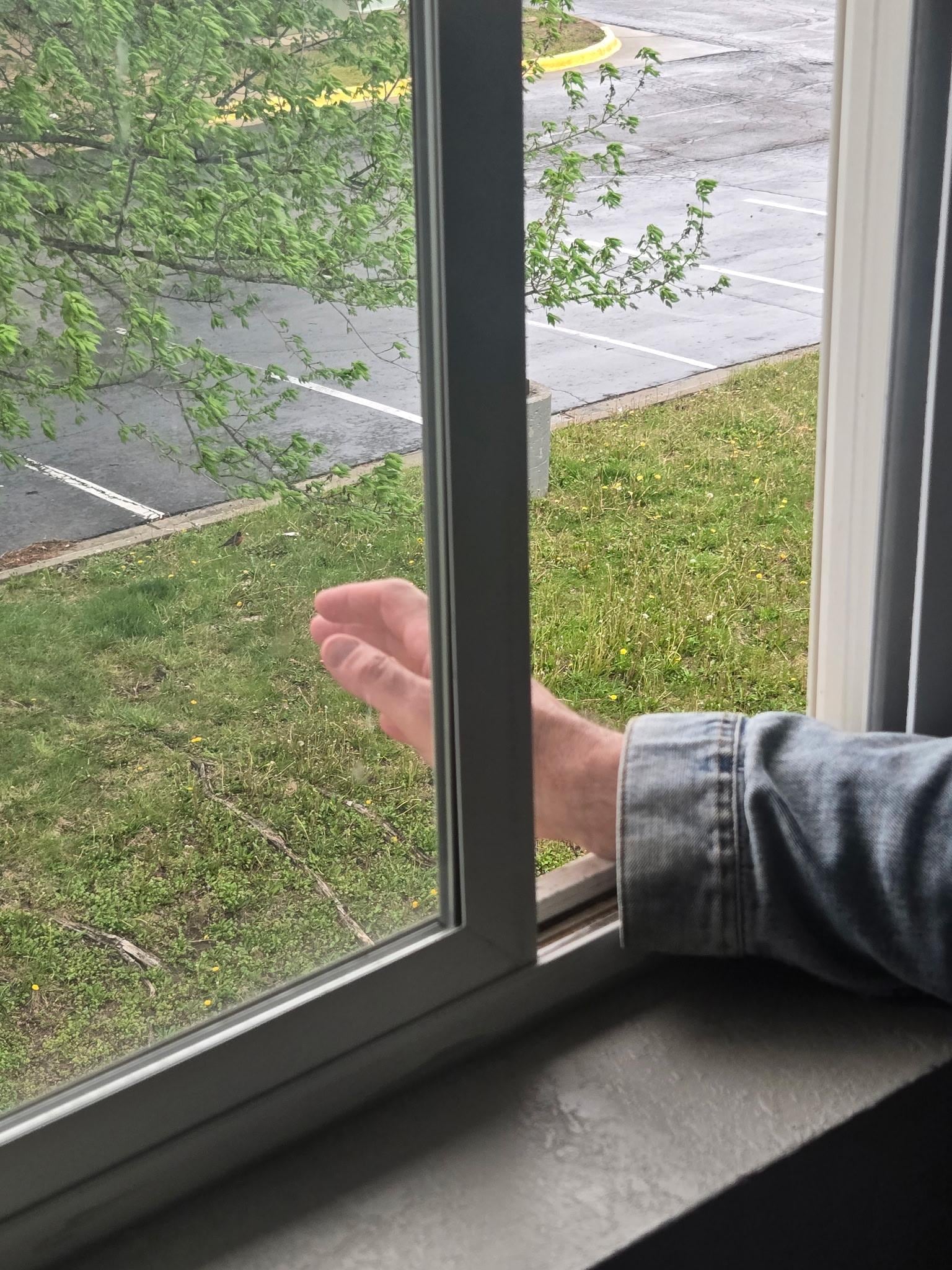 No screen on windows