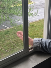 No screen on windows