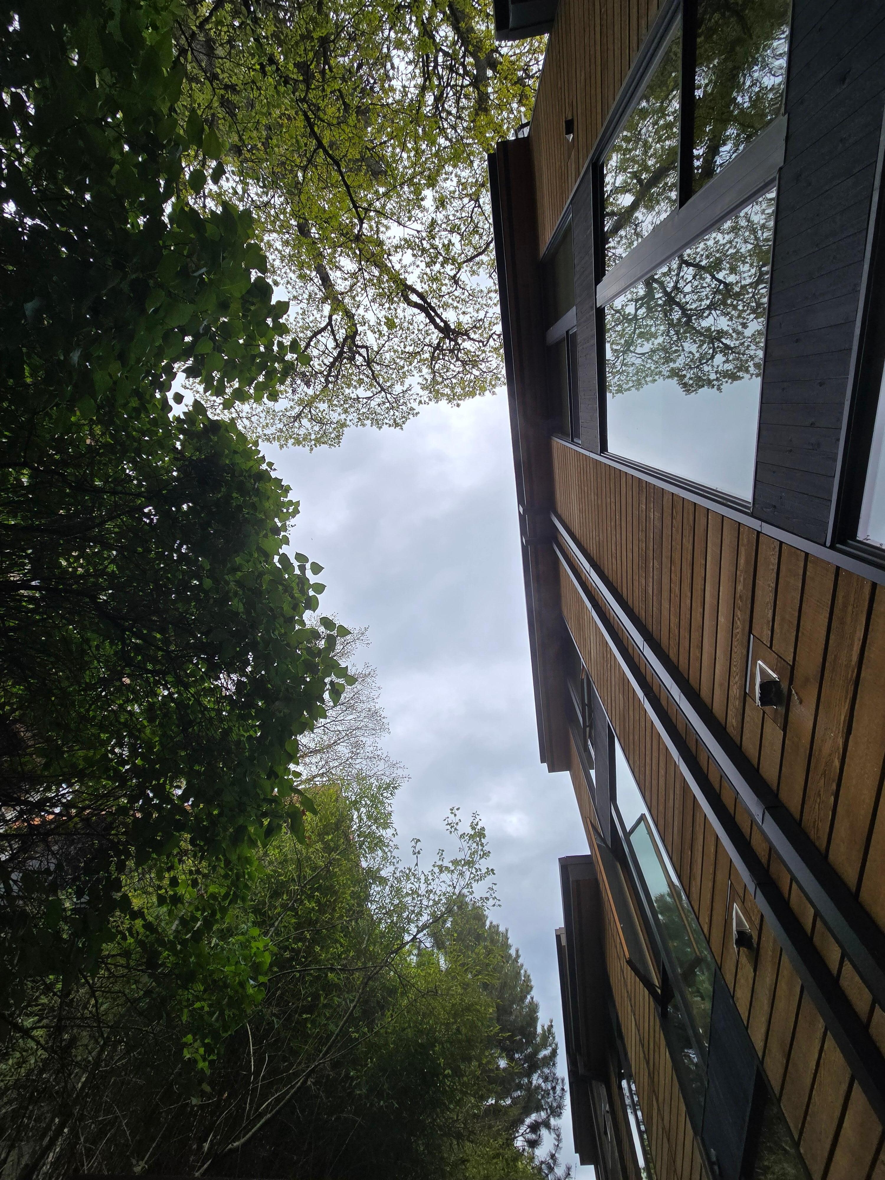 View looking up from hot tub
