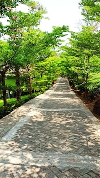 The pathway