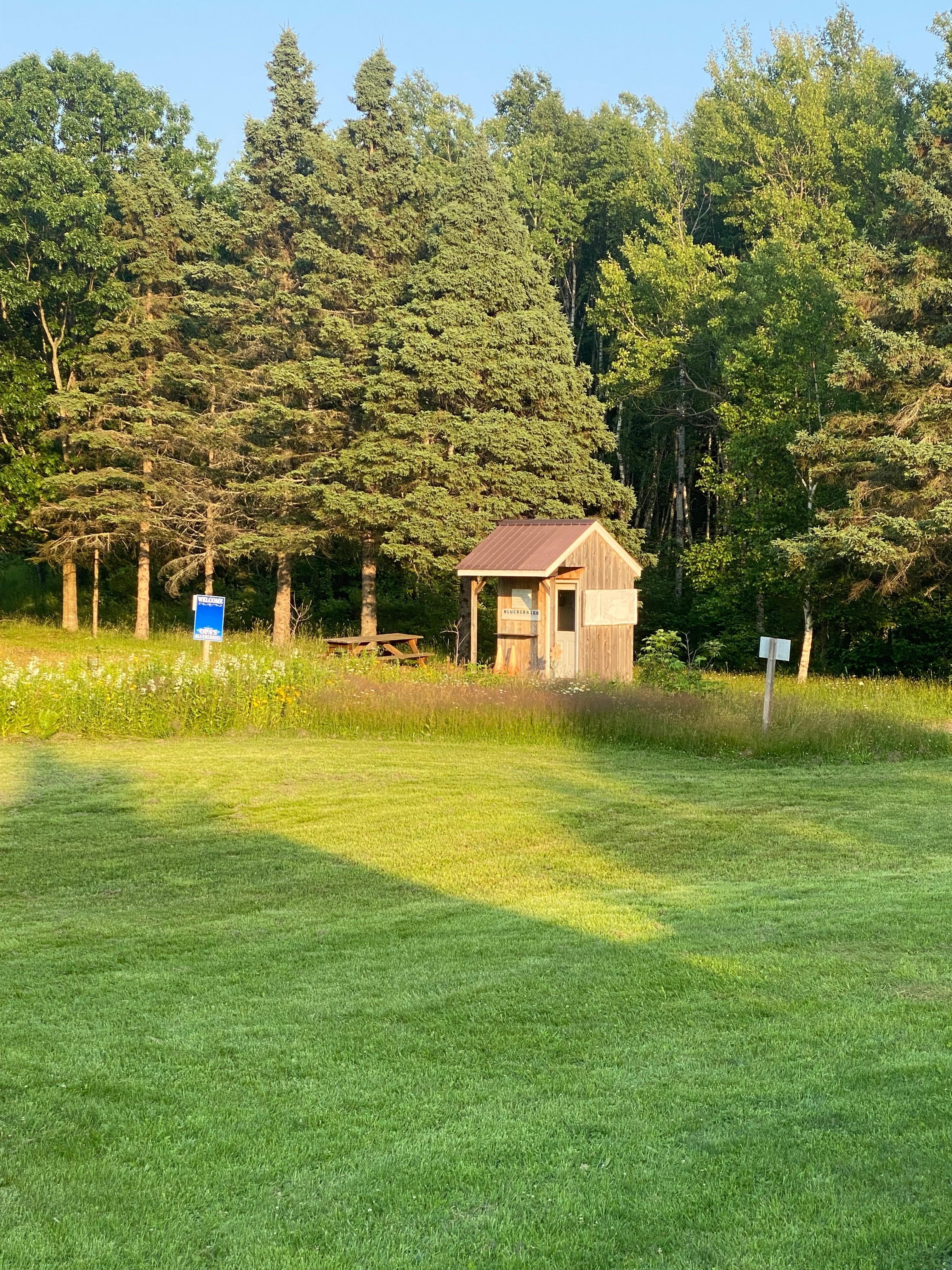 Blueberry Shack