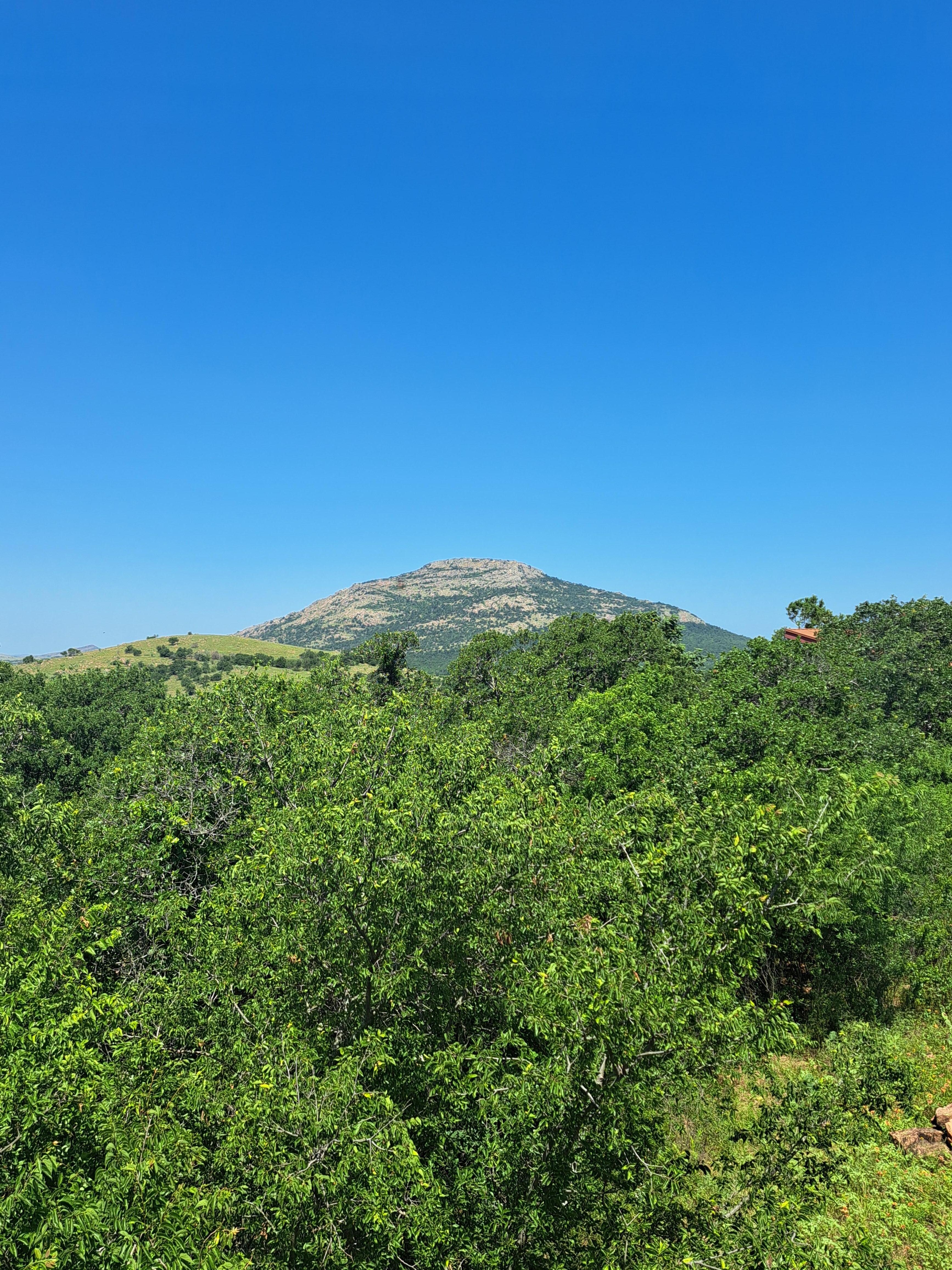 A view of Mt Scott from the sun room. (Camera version)
