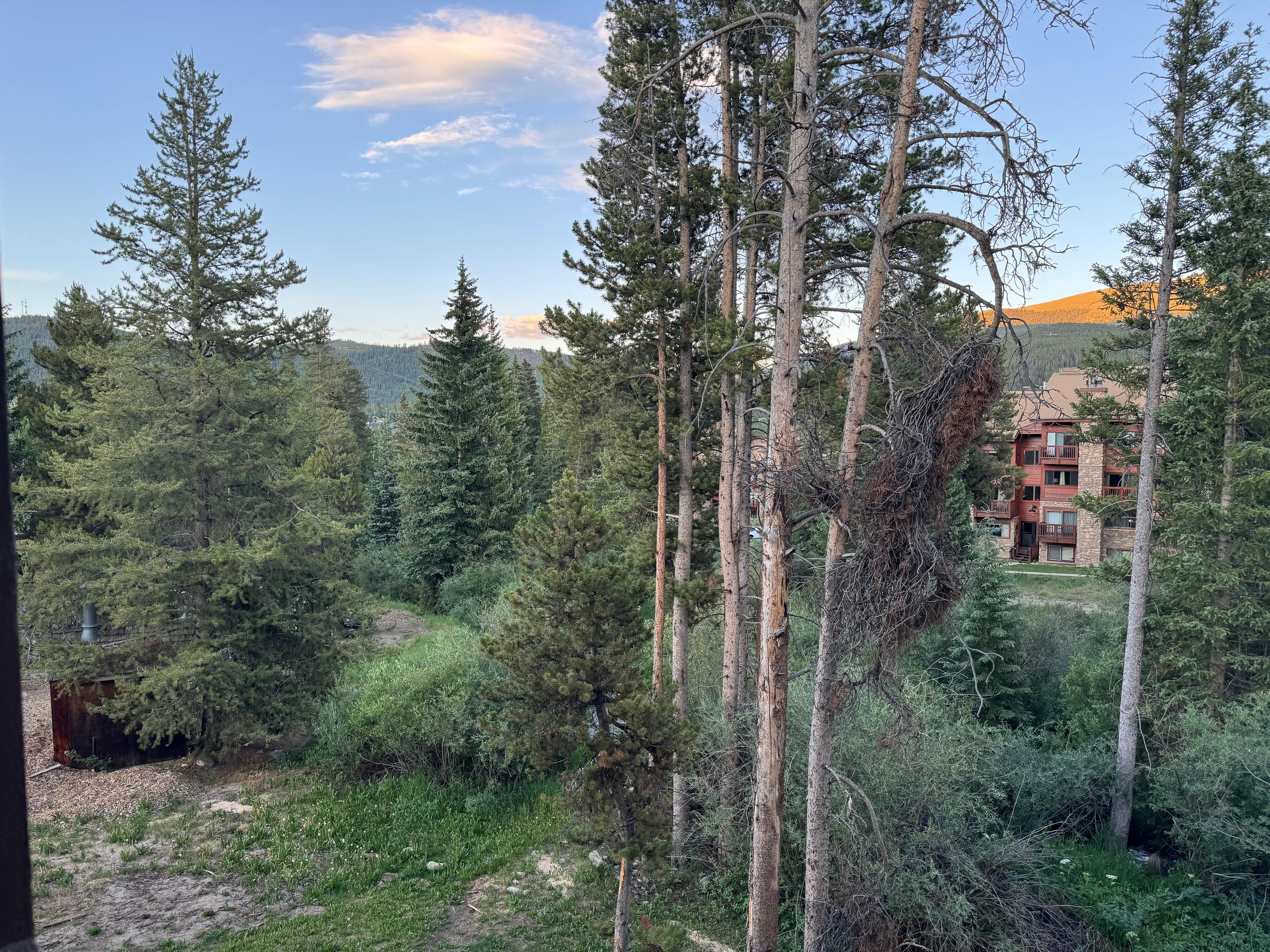 View from the deck