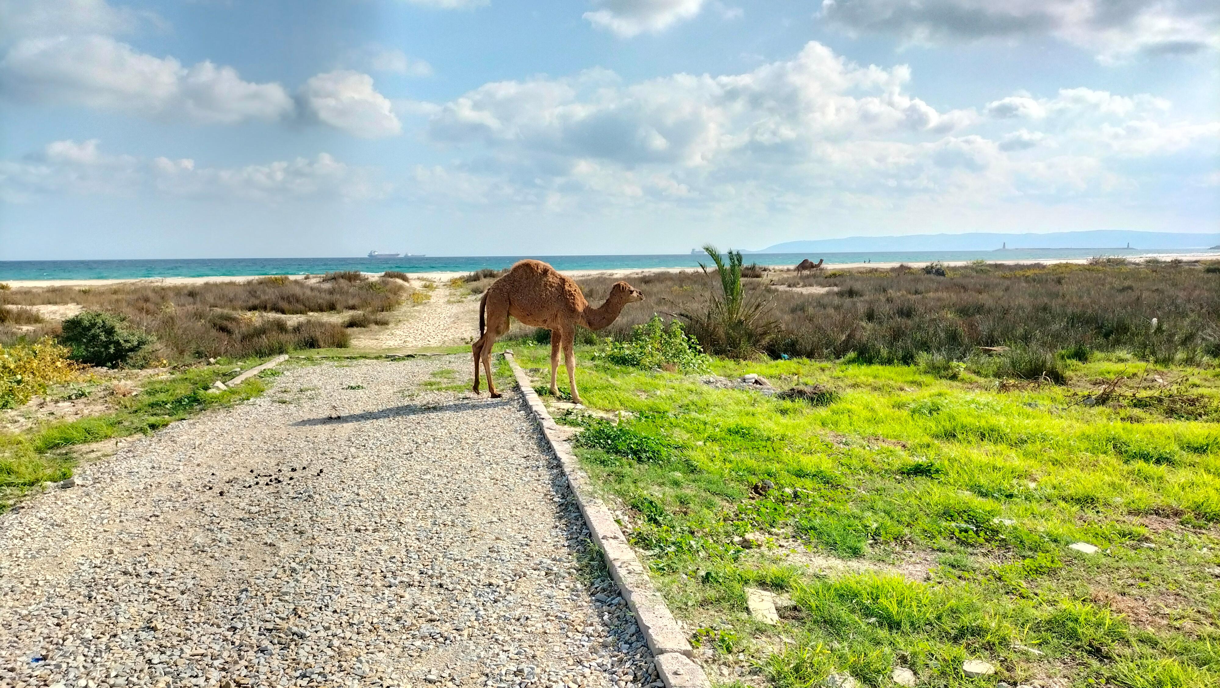 The way to the beach