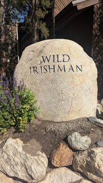 Wild Irishman