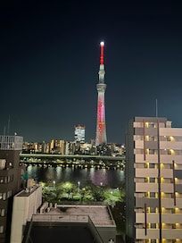 Shot of the Sky tree from the roof top lounge area.