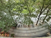 My balcony view