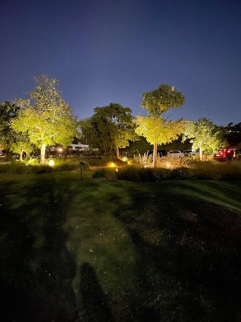 lighting around the estate