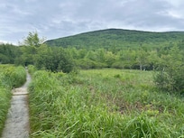 Trail running