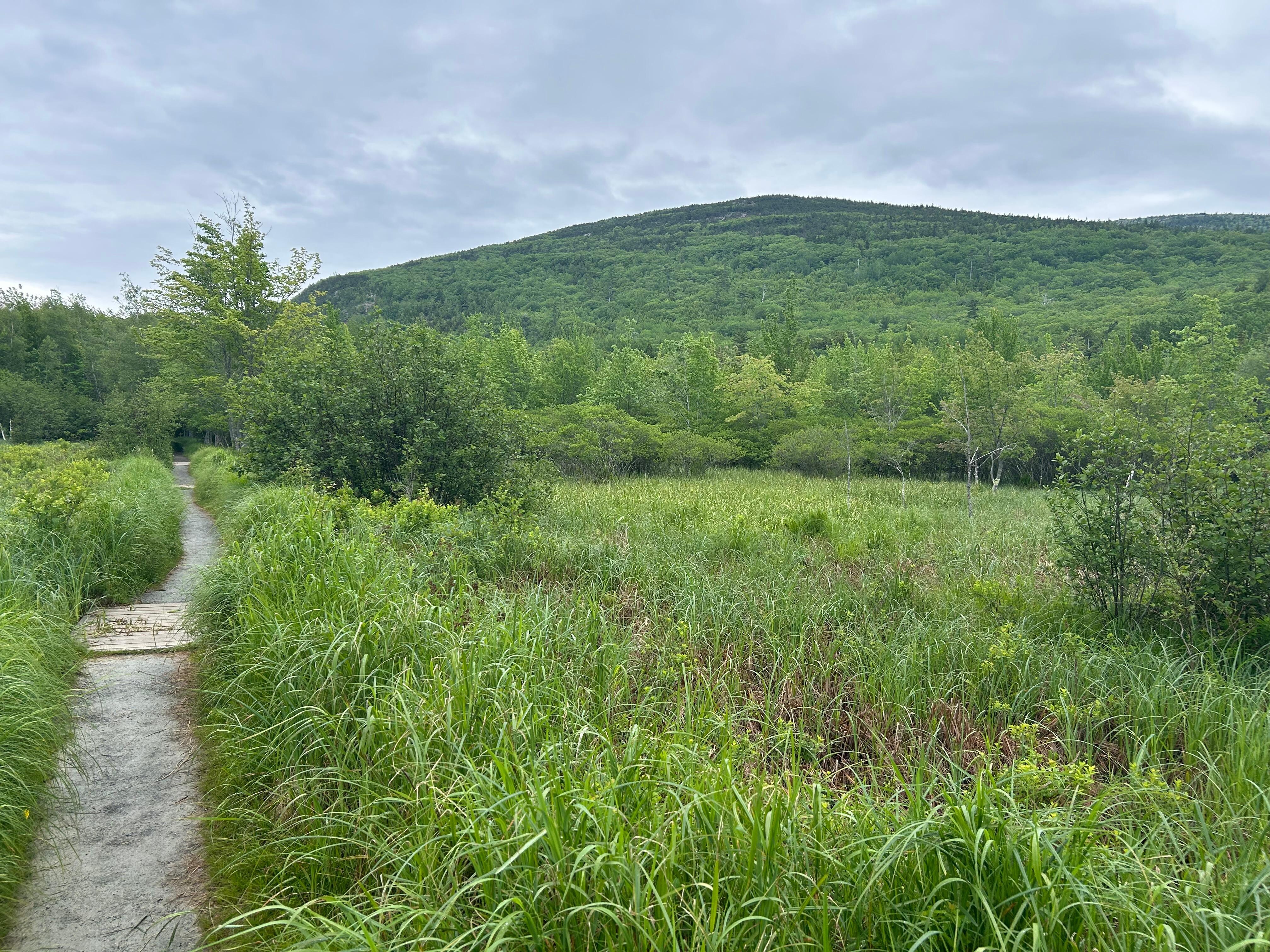 Trail running