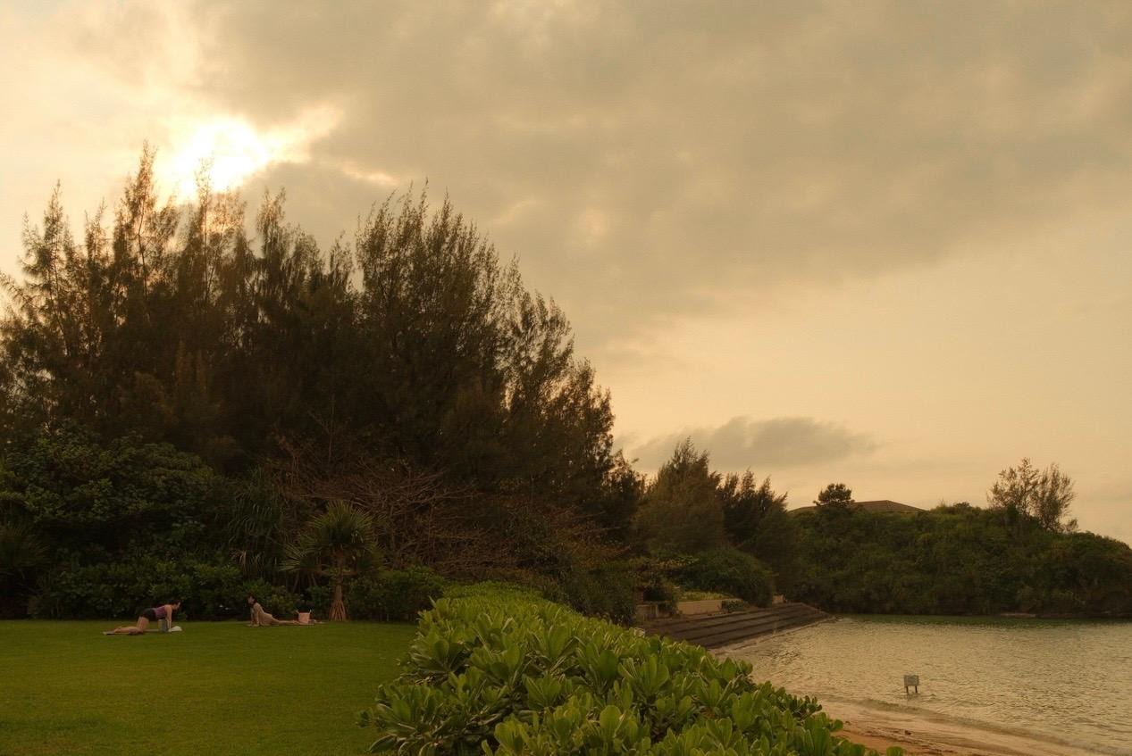 our view from our walk to yoga