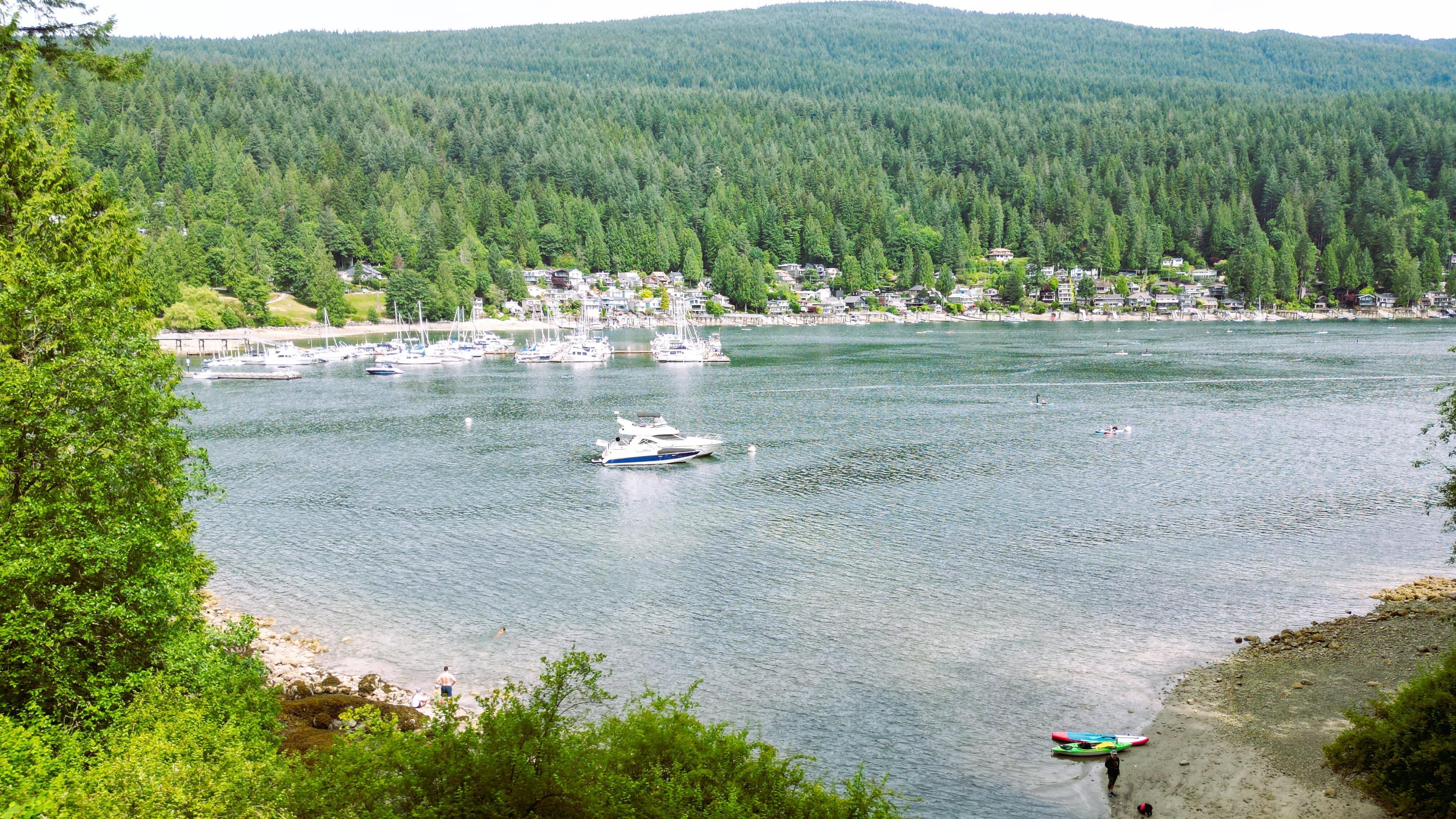 Cove View