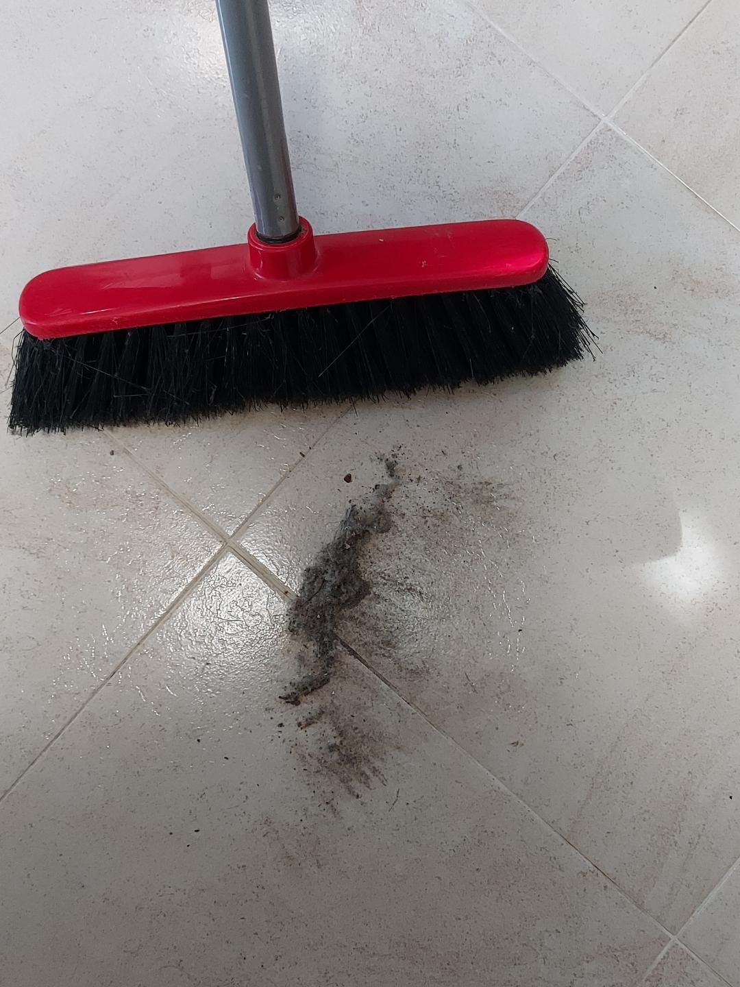 Dirt in the hall and kitchen 