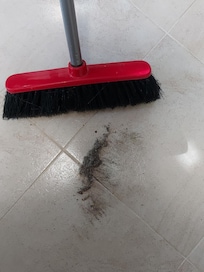 Dirt in the hall and kitchen