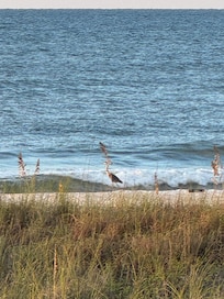 View of Heron’s from the deck