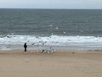Gentleman feeding the seagulls.