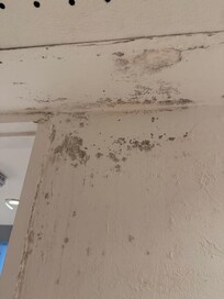 Mold in the bathroom, apartment smelled very musty.