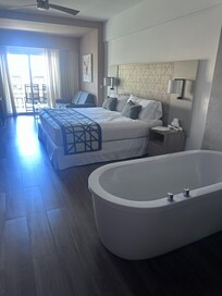 Yo la quería vista al Hardin frente al hotel con parcial vista ala playa medieron una vista los jardines de otro hotel