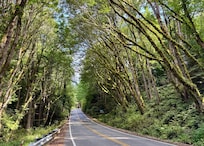 Chuckanut Drive