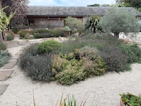 Beautiful planting