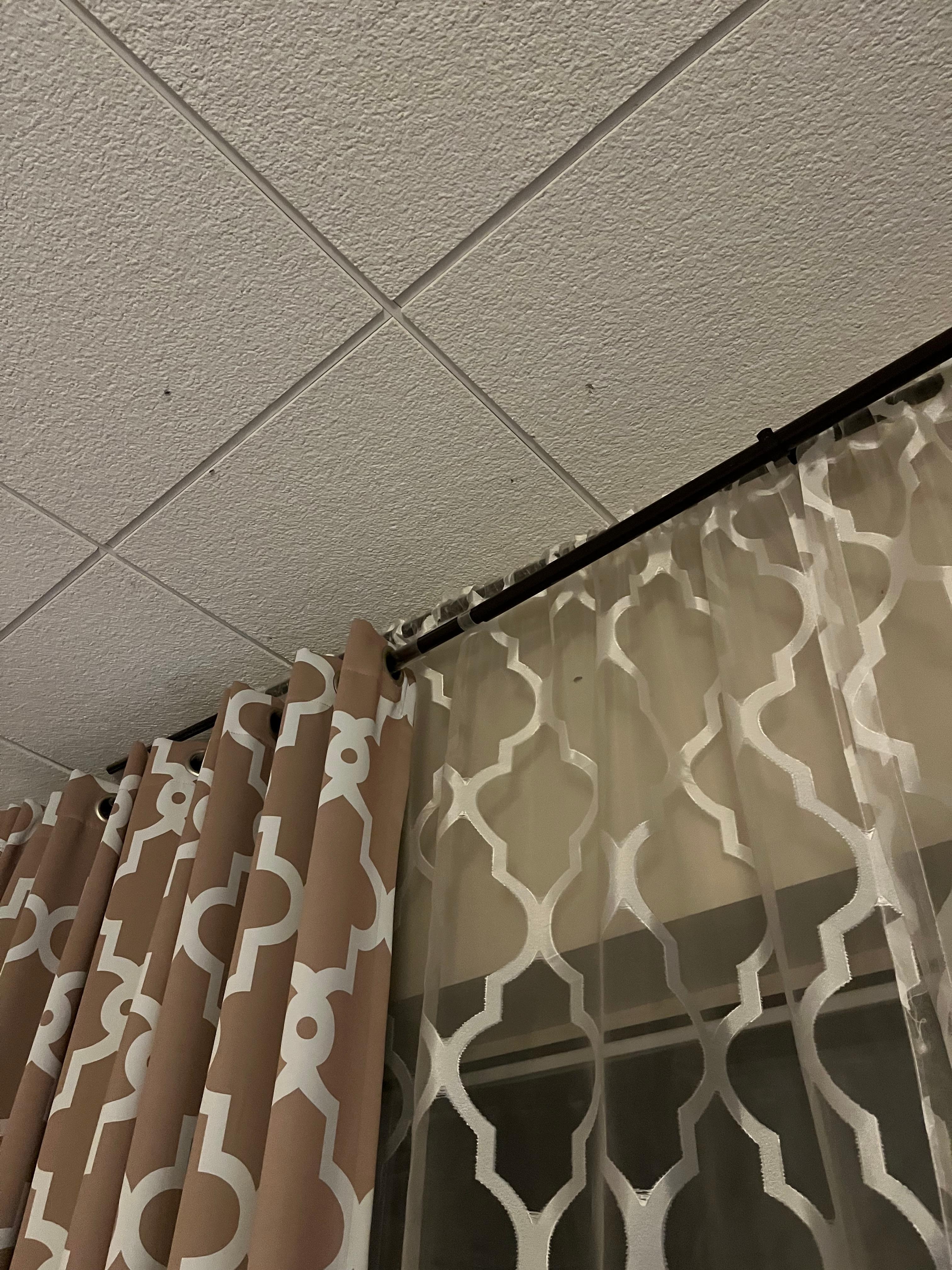 Mosquitoes on ceiling in room.