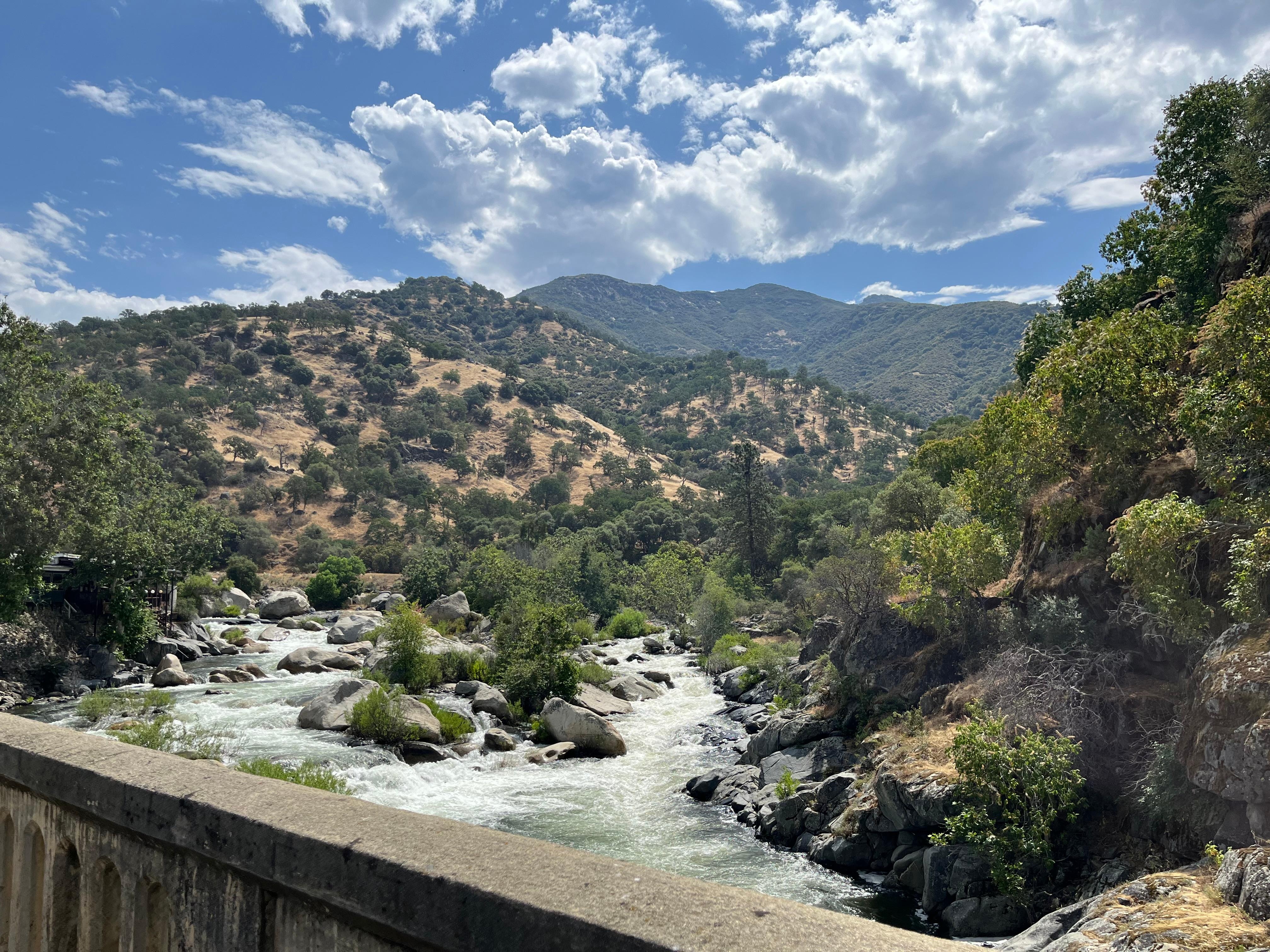 Local view