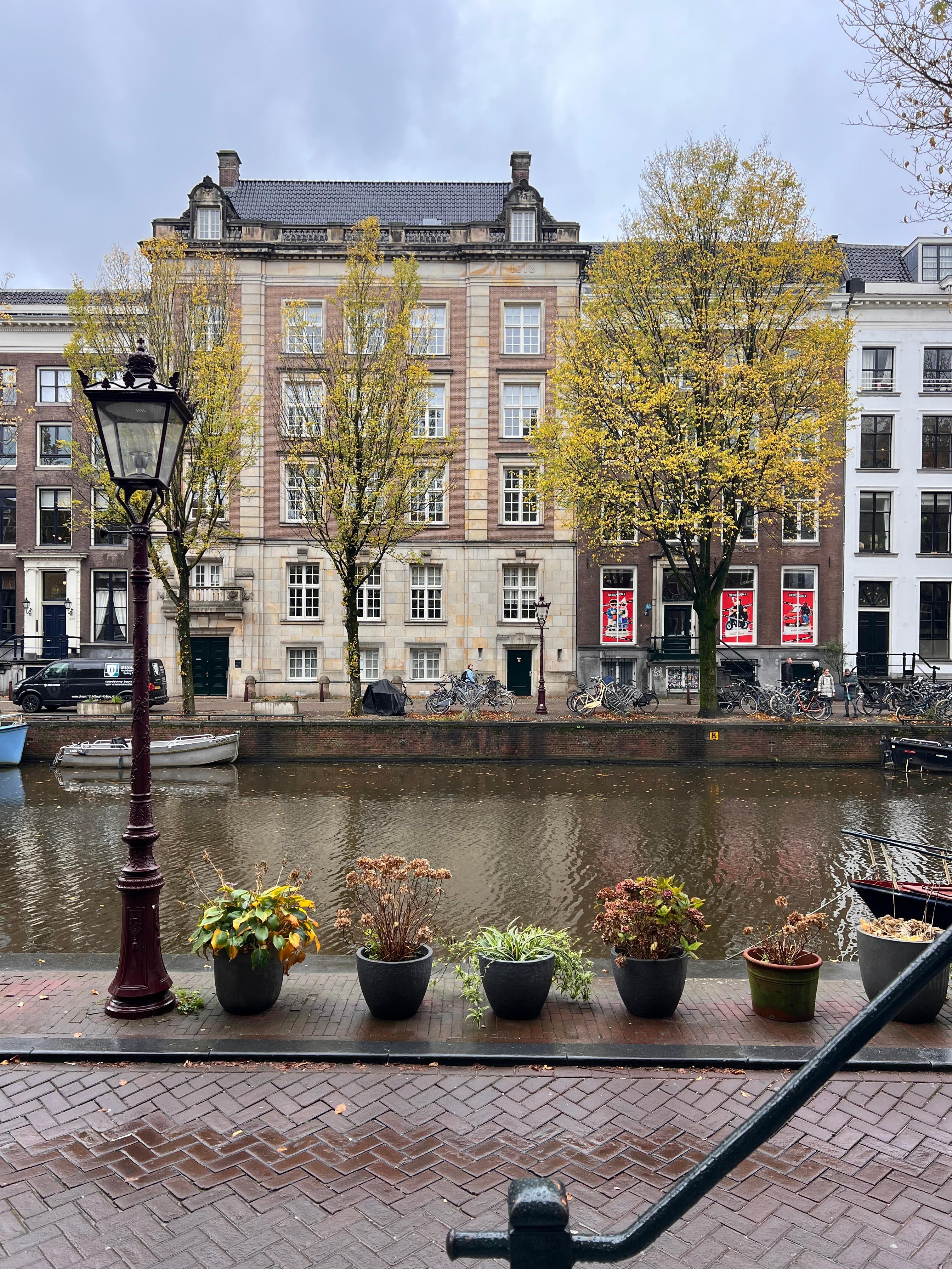 View from the window