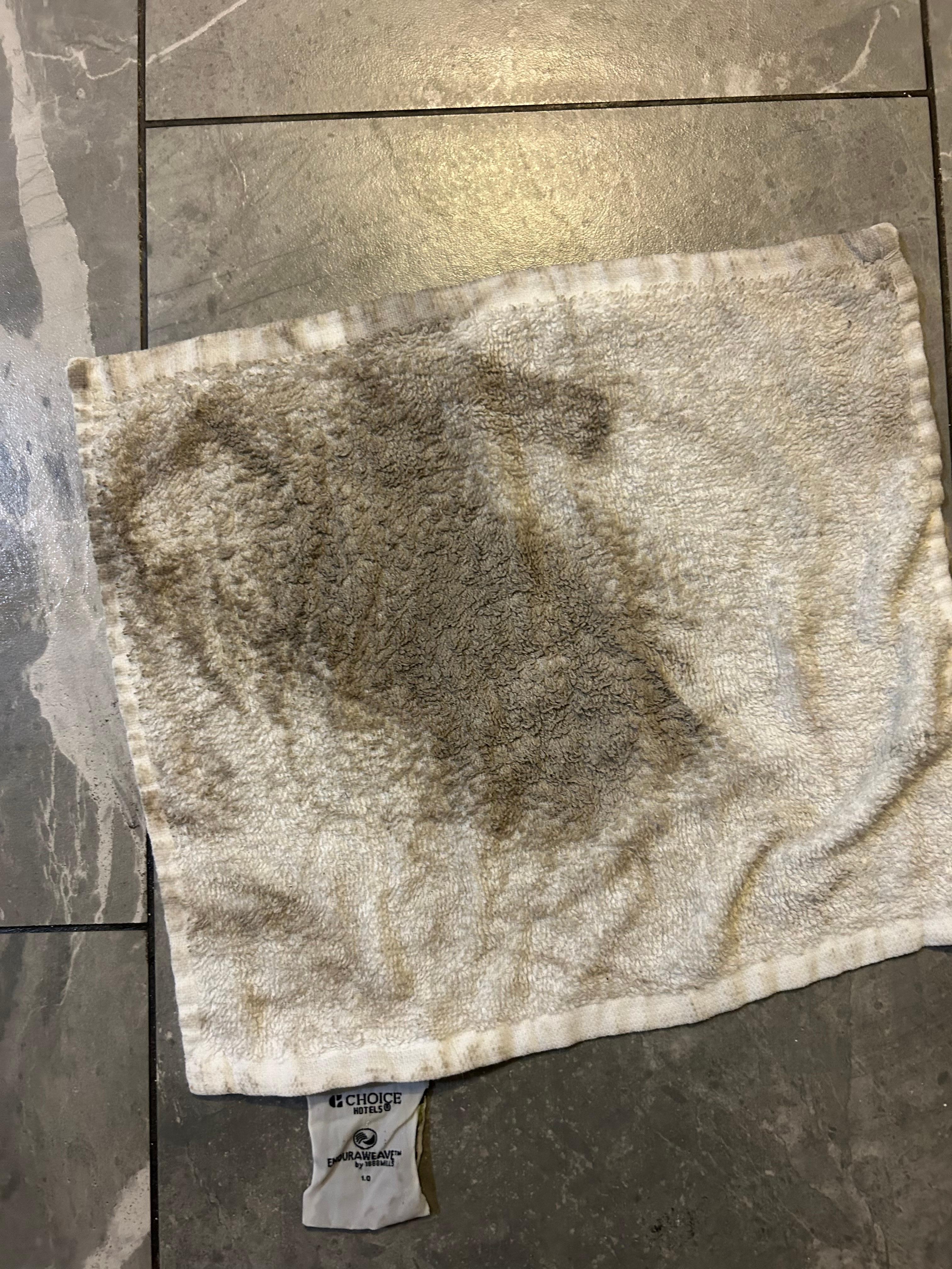 This was cleaning the bathroom floor