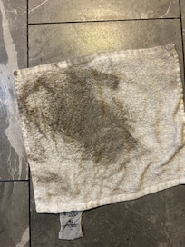 This was cleaning the bathroom floor