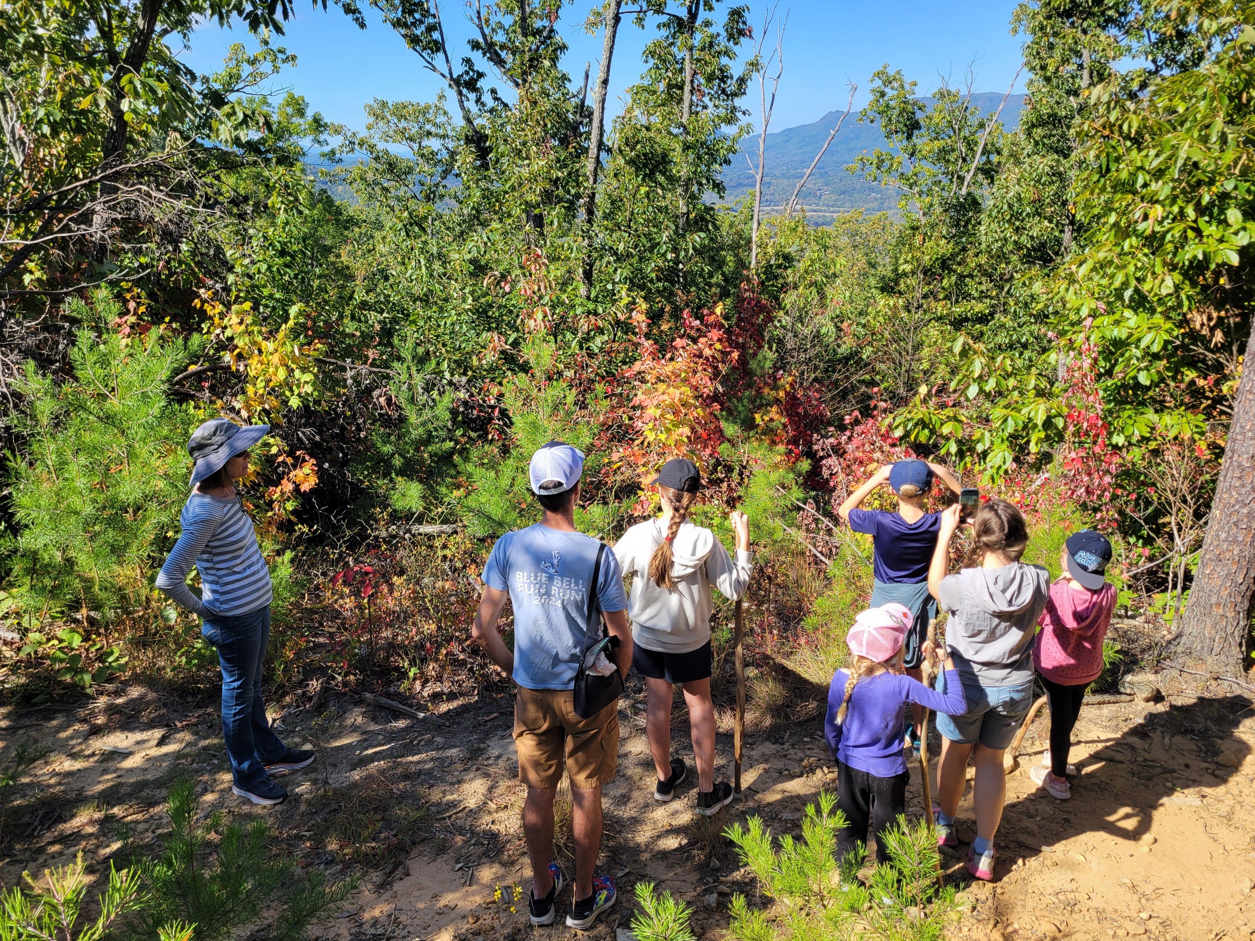 View from the trail.