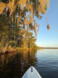 Across river, at the Ocala National Forest