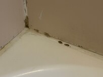 Mold in the bathtub