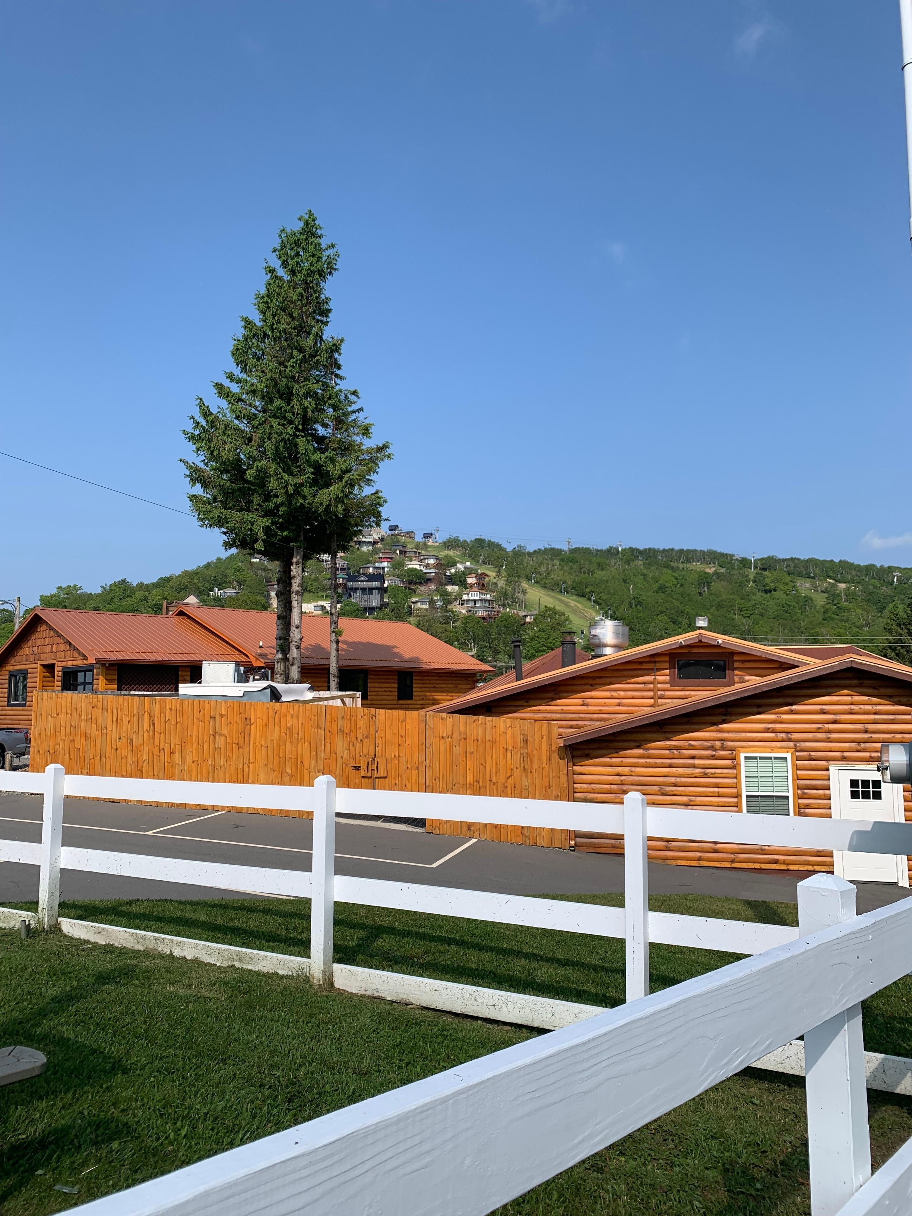 Walking to Fred’s.