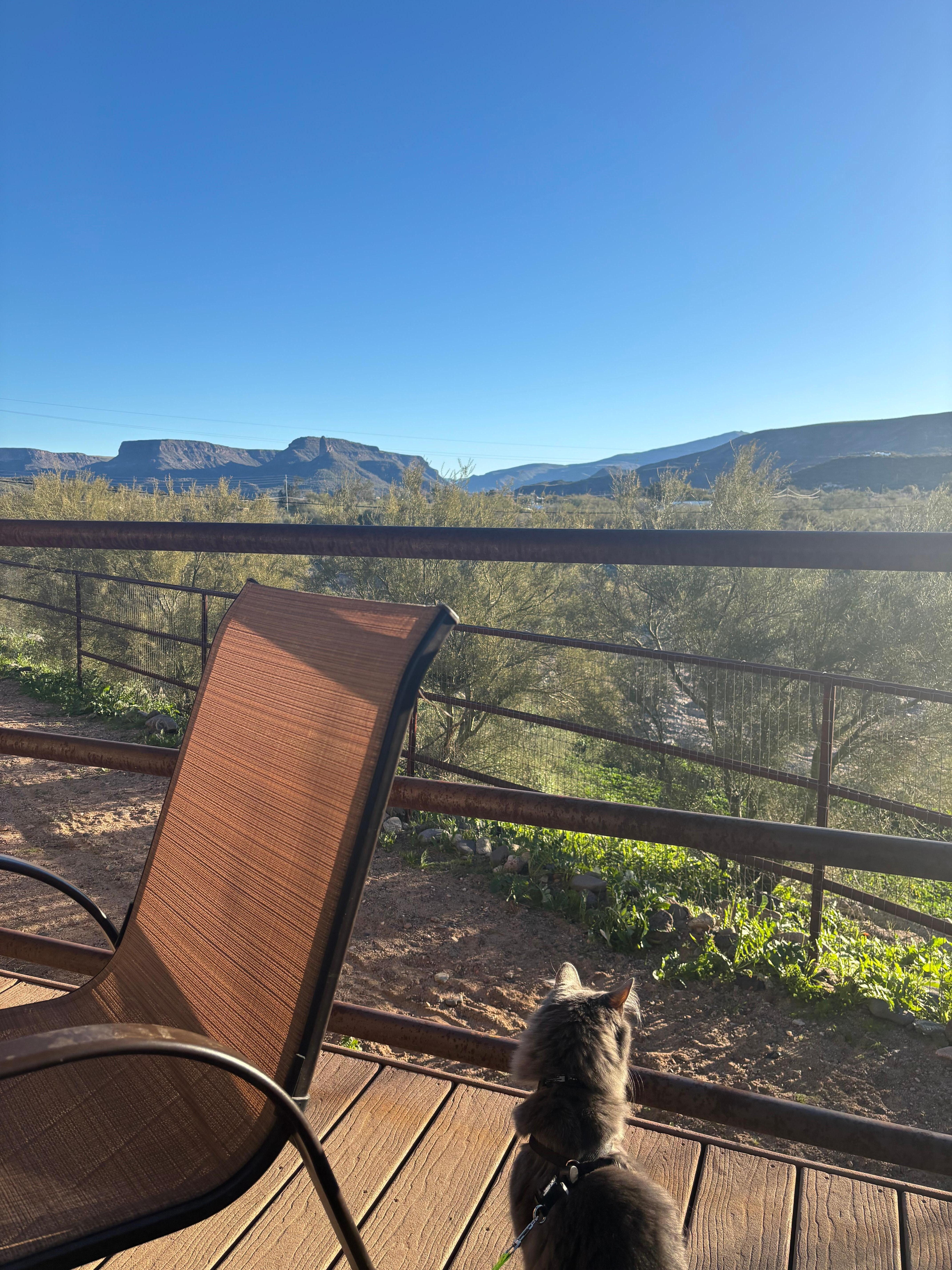 Our fur baby enjoyed the porch 