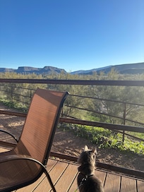 Our fur baby enjoyed the porch