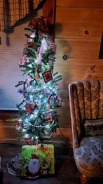 Cute little Christmas tree for the holiday season.