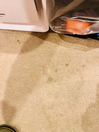 Carpet stains in room