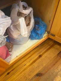 Excessive plastic shopping bags under kitchen sink