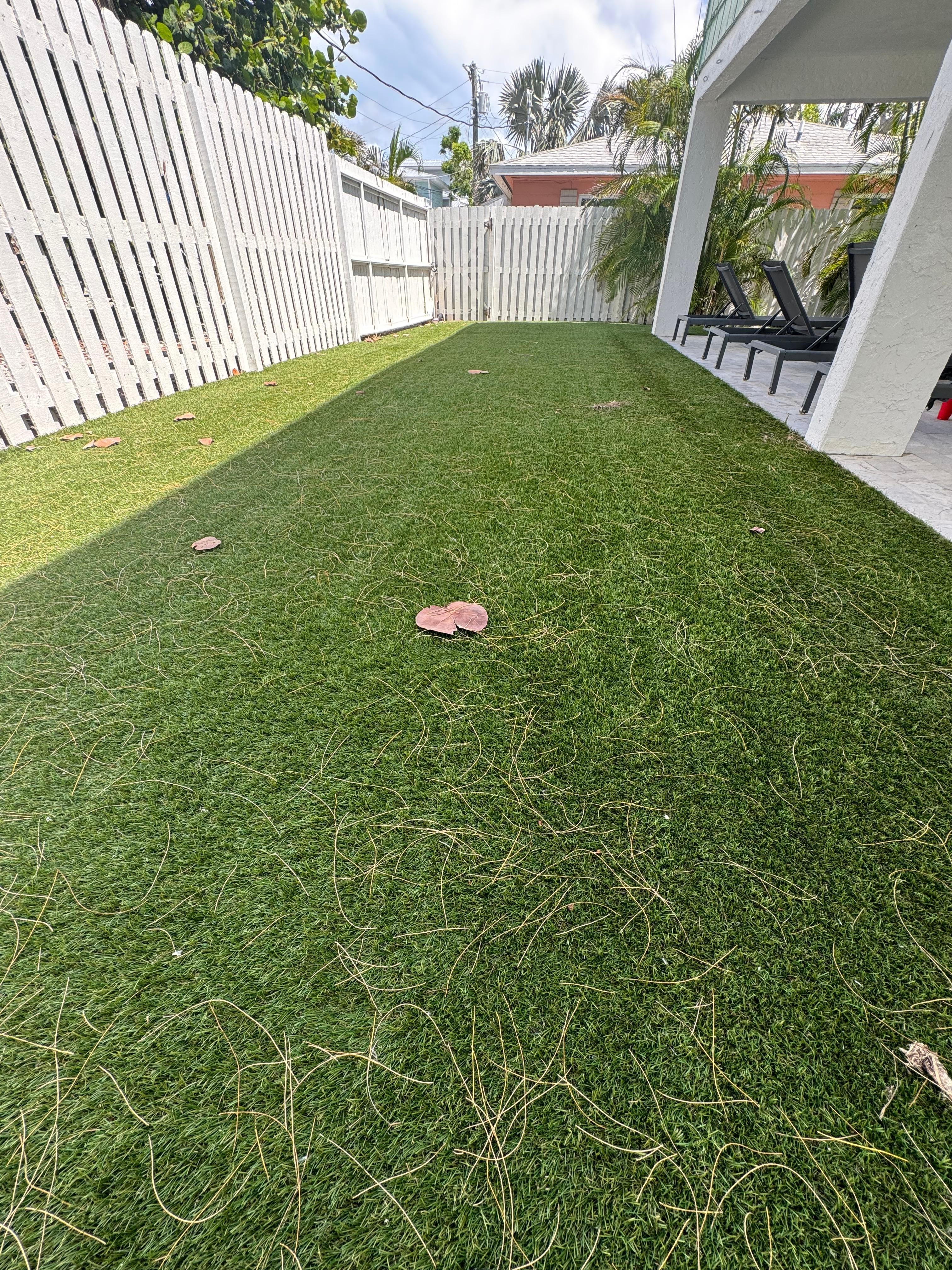 Back portion of lawn