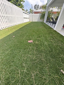 Back portion of lawn