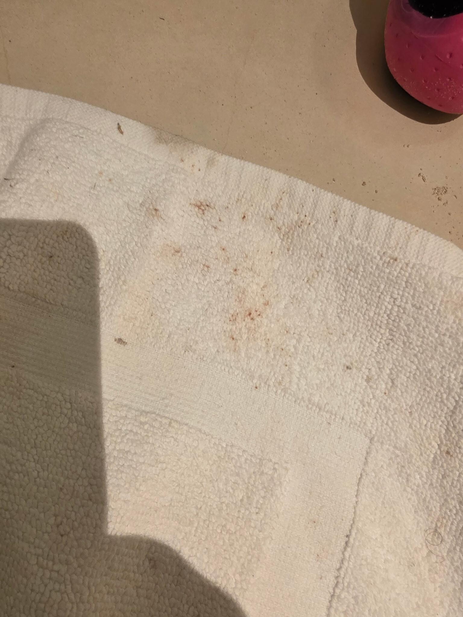 Blood on towel