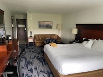 1 King bed with sofa bed.