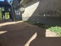 mousse sur la terrasse