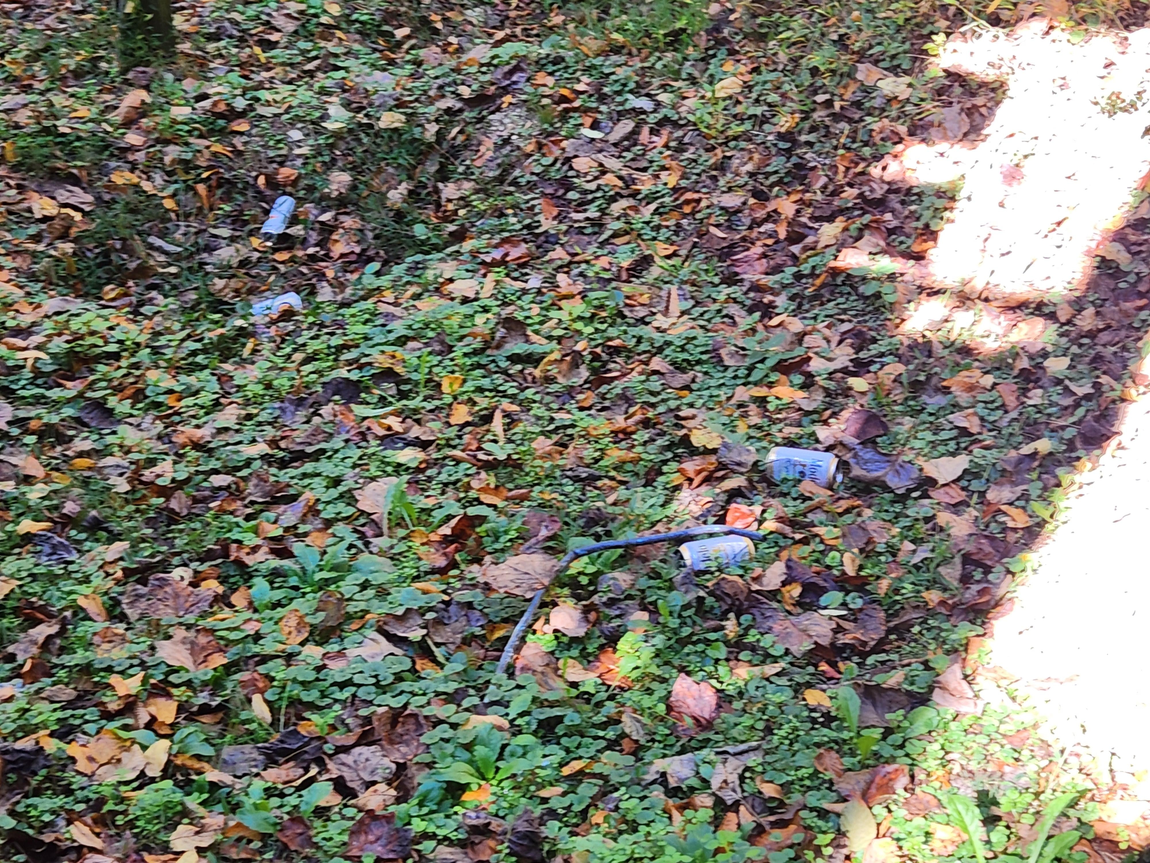 Trash- no outside maintenance at all.